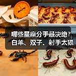 哪些星座分手最决绝?白羊、双子、射手太狠了!(图1) 哪些星座分手最决绝?白羊、双子、射手太狠了!(图1)