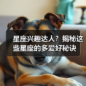 星座兴趣达人?揭秘这些星座的多爱好秘诀(图3) 星座兴趣达人?揭秘这些星座的多爱好秘诀(图3)