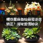 哪些星座备胎最易逆袭转正?揭秘爱情秘诀(图2) 哪些星座备胎最易逆袭转正?揭秘爱情秘诀(图2)