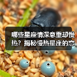 哪些星座情深意重却慢热?揭秘慢热星座的恋爱态度(图1) 哪些星座情深意重却慢热?揭秘慢热星座的恋爱态度(图1)