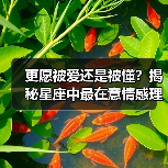 更愿被爱还是被懂?揭秘星座中最在意情感理解的真相(图4) 更愿被爱还是被懂?揭秘星座中最在意情感理解的真相(图4)