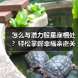 怎么与潜力股星座相处?轻松掌握幸福亲密关系(图1) 怎么与潜力股星座相处?轻松掌握幸福亲密关系(图1)