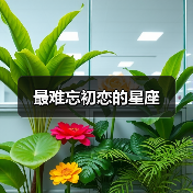 最难忘初恋的星座(图4) 最难忘初恋的星座(图4)