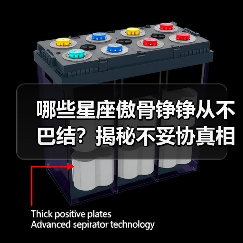 哪些星座傲骨铮铮从不巴结？揭秘不妥协真相（图2）