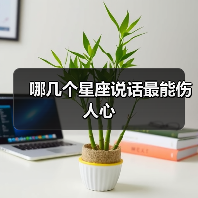 哪几个星座说话最能伤人心（图2）