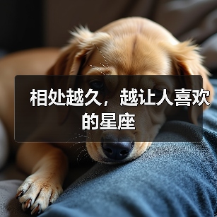 相处越久，越让人喜欢的星座