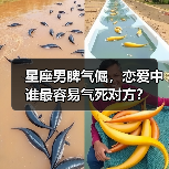 星座男脾气倔,恋爱中谁最容易气死对方?(图3) 星座男脾气倔,恋爱中谁最容易气死对方?(图3)