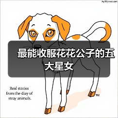 最能收服花花公子的五大星女(图2) 最能收服花花公子的五大星女(图2)