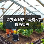 论及幽默感,最有发言权的星男(图2) 论及幽默感,最有发言权的星男(图2)