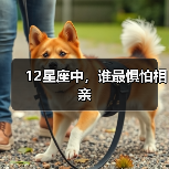 12星座中,谁最惧怕相亲(图3) 12星座中,谁最惧怕相亲(图3)