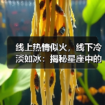 线上热情似火,线下冷淡如冰:揭秘星座中的社交温差(图4) 线上热情似火,线下冷淡如冰:揭秘星座中的社交温差(图4)