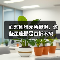 面对困难无所畏惧,这些星座最是百折不挠(图3) 面对困难无所畏惧,这些星座最是百折不挠(图3)