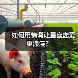 如何用情调让星座恋爱更浪漫？（图4）