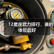 12星座武力排行，谁的体能最好