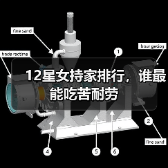 12星女持家排行，谁最能吃苦耐劳