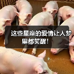 这些星座的爱情让人梦里都笑醒！（图2）