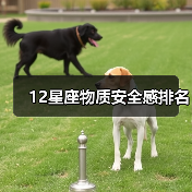 12星座物质安全感排名