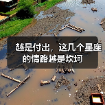 越是付出，这几个星座的情路越是坎坷（图1）