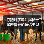 你猜对了吗？揭秘十二星座偏爱的伴侣类型（图3）