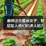 邂逅这些星座女子，轻易陷入她们的迷人魅力（图4）