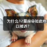 为什么12星座会如此难以接近？（图1）
