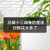 总被小三缠身的星座，烂桃花太多了（图3）
