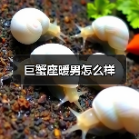 巨蟹座暖男怎么样(图4) 巨蟹座暖男怎么样(图4)