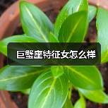 巨蟹座特征女怎么样(图2) 巨蟹座特征女怎么样(图2)