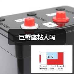 巨蟹座粘人吗(图2) 巨蟹座粘人吗(图2)