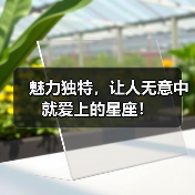 魅力独特,让人无意中就爱上的星座!(图1) 魅力独特,让人无意中就爱上的星座!(图1)