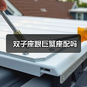 双子座跟巨蟹座配吗