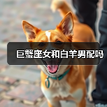 巨蟹座女和白羊男配吗(图4) 巨蟹座女和白羊男配吗(图4)