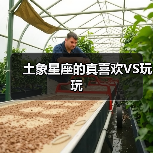 土象星座的真喜欢VS玩玩(图4) 土象星座的真喜欢VS玩玩(图4)