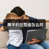 属羊的巨蟹座怎么样