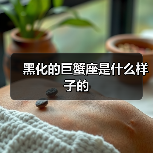 黑化的巨蟹座是什么样子的（图2）