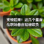 支棱起来！这几个星座在职场最容易被欺负（图1）