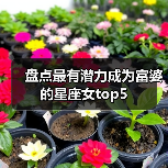 盘点最有潜力成为富婆的星座女top5