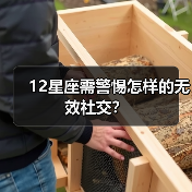 12星座需警惕怎样的无效社交？