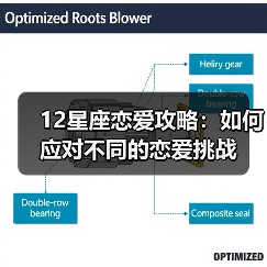 12星座恋爱攻略:如何应对不同的恋爱挑战(图2) 12星座恋爱攻略:如何应对不同的恋爱挑战(图2)