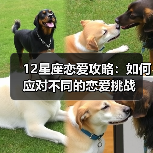 12星座恋爱攻略:如何应对不同的恋爱挑战(图4) 12星座恋爱攻略:如何应对不同的恋爱挑战(图4)