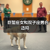 巨蟹座女和双子座男合适吗