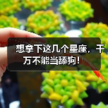 想拿下这几个星座,千万不能当舔狗!(图1) 想拿下这几个星座,千万不能当舔狗!(图1)