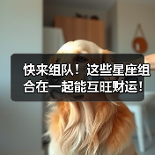 快来组队！这些星座组合在一起能互旺财运！（图2）