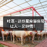 哇塞~这些星座最容易让人一见钟情!(图2) 哇塞~这些星座最容易让人一见钟情!(图2)