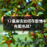 12星座该如何在爱情中克服挑战？（图4）