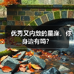 优秀又内敛的星座，你身边有吗？（图2）