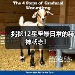 揭秘12星座最日常的精神状态！（图3）