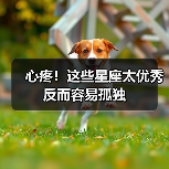 心疼！这些星座太优秀反而容易孤独（图1）