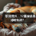 职场晋升，12星座该丢掉啥包袱？（图4）