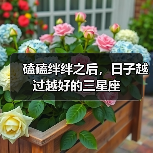 磕磕绊绊之后,日子越过越好的三星座(图3) 磕磕绊绊之后,日子越过越好的三星座(图3)